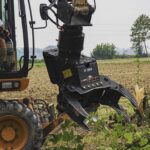 agriforest_